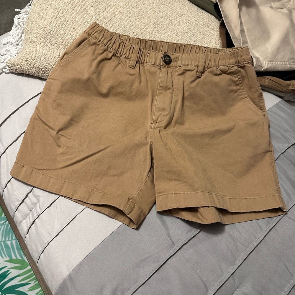 Chubbies “The Cinnamon Dusts” Flat Front Shorts